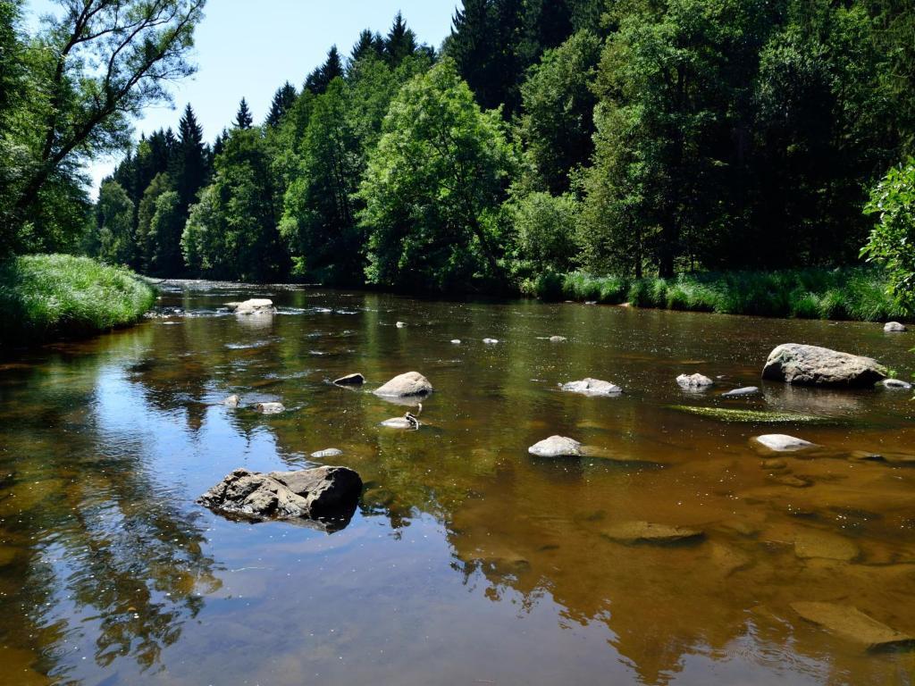 Ferienwohnungen Grill Schönberg Pokoj fotografie